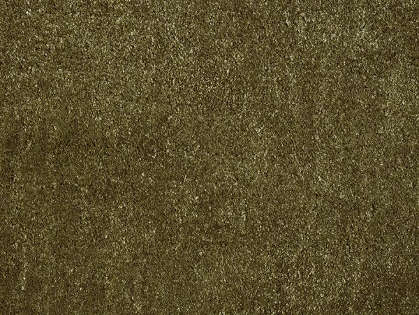 Gloss-19044-Forrest